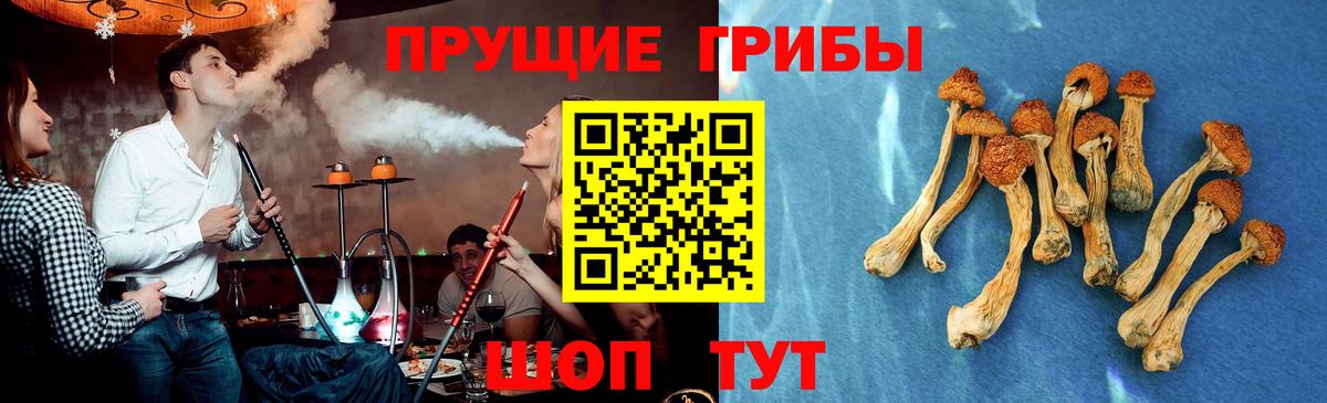 Псилоцибиновые грибы Magic Shrooms Дербент